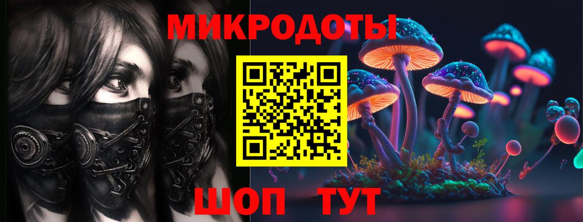 Псилоцибиновые грибы мицелий Абинск