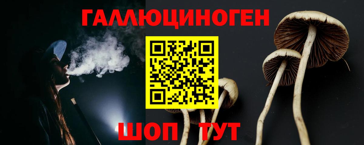 Псилоцибиновые грибы мицелий  Вход с VPN  Абинск  Галлюциногенные грибы Cubensis 